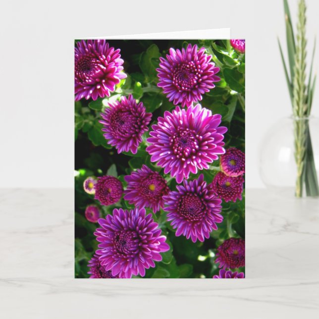 Carte Fleurs violettes (Devant)