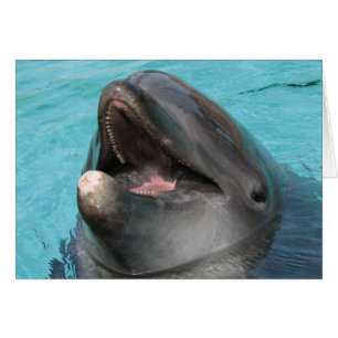 Carte Flipper