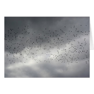 Carte Flock