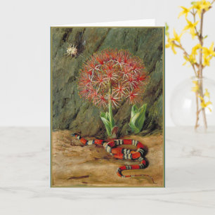 Carte Flor Imperiale Coral Snake et Araignée