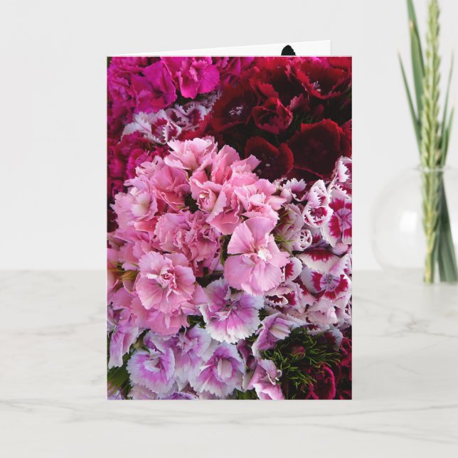 Carte Floraisons (Devant)