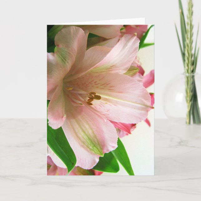 Carte Floral All occassion (Devant)