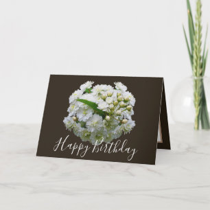 Carte Floral Chic Bouquet White Spirea Floral Anniversai