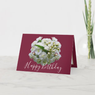 Carte Floral Chic Bouquet White Spirea Floral Anniversai