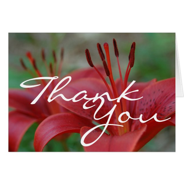 Carte Floral Merci (Devant horizontal)