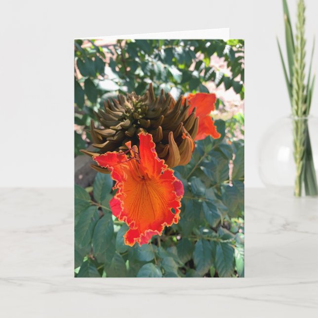 Carte Floral orange, blanc Hawaï (Devant)