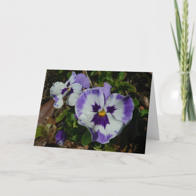 Carte Floral Purple and White Pansies (Devant)