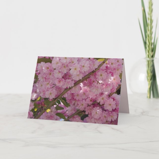 Carte Floral rose et papillon (Devant)