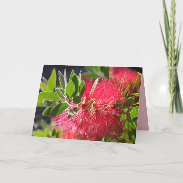 Carte florale à fleurs australienne en coton rouge (Devant)