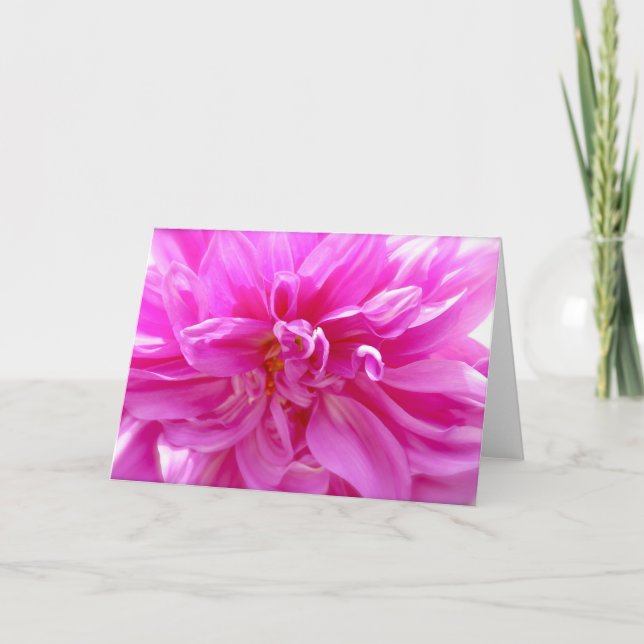 Carte florale blanche rose Dahlia (Devant)