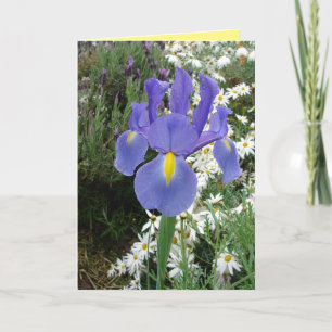 Carte florale Blue Dutch Iris Flowers
