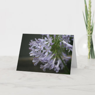 Carte florale d'Agapanthus bleu de Pourpre-Lilas