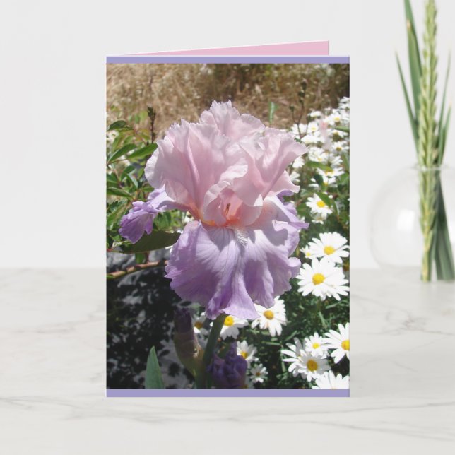 Carte florale d'Iris pourpre de Cottage Garden (Devant)