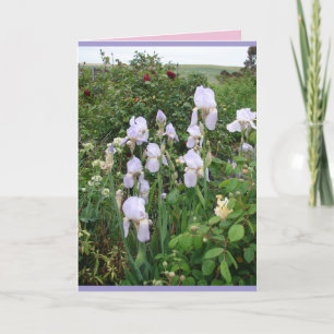 Carte florale d'iris violet de jardin de campagne