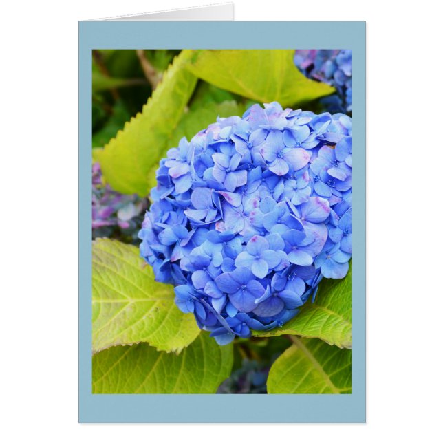 Carte florale hydrangea bleu (Devant)