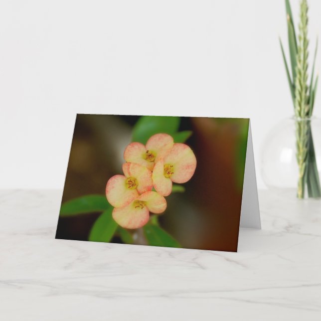 Carte florale vide (Devant)