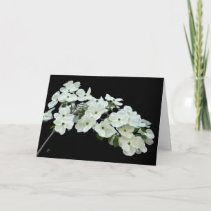 Carte Flore de bois de chien blanc sur noir Toutes les o