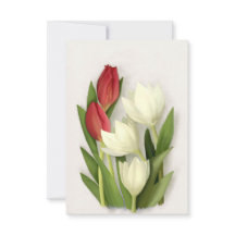 Flore de tulipes rouges et blanches