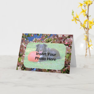 Carte Flore rose Printemps fleurit Cadre Floral Photo