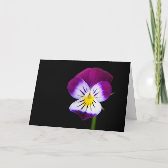Carte Flore violette gcm (Devant)