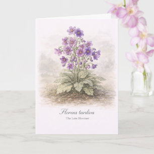 Carte Florens tardiva La Fleur Tardive Botanique