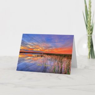 Carte Floride Everglades, panorama pittoresque,