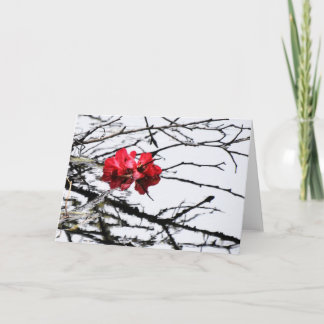 Carte flottant rouge