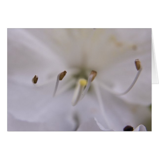 Carte flottante (Devant horizontal)