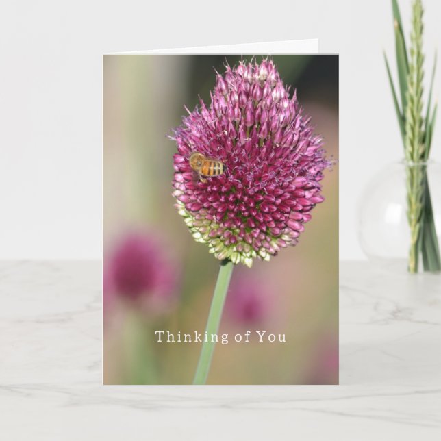 Carte Flower Bee Thinking of You (photography by me) (Devant)