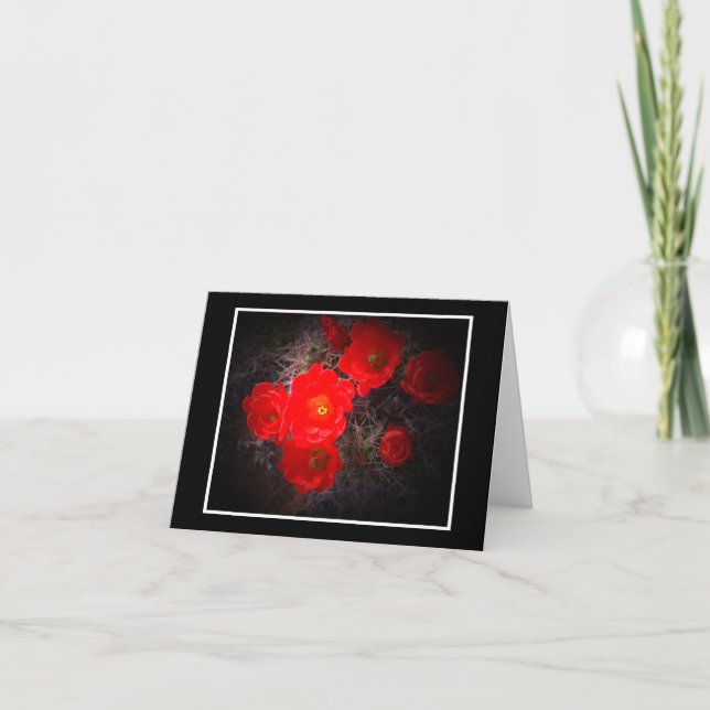 Carte Flower Cactus No Verse (Devant)