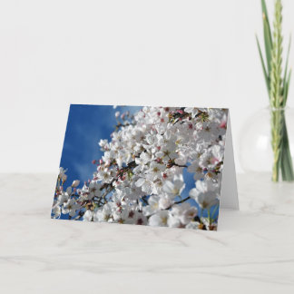 Carte Flower Cherry Tree