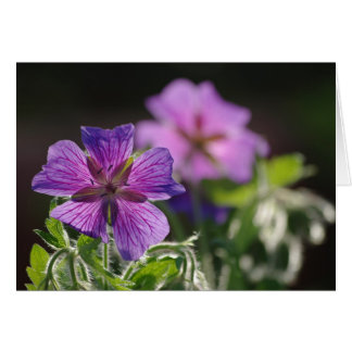 Carte Flower Géranium