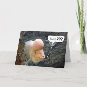 Carte Flowerhorn Fish 29e Humour d'anniversaire
