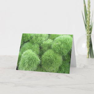 Carte Flowers ! Espèce de Green Dianthus Frameable