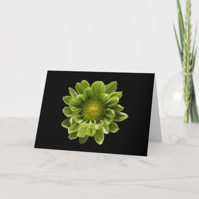 Carte Flowers | Green Chrysanthemum (Devant)