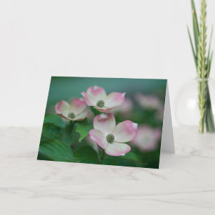 Carte Flowers (homonymie) Blossoms de Dogwood