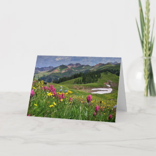 Carte Flowers (homonymie)   Wildflowers Durango
