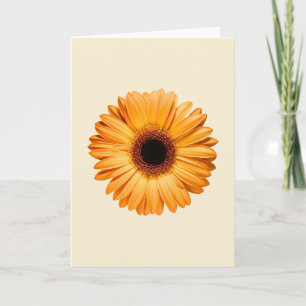 Carte Flowers   Orange Gerbera