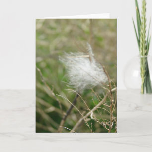 Carte Fluff all occasions