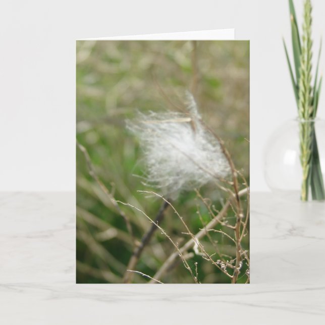 Carte Fluff all occasions (Devant)