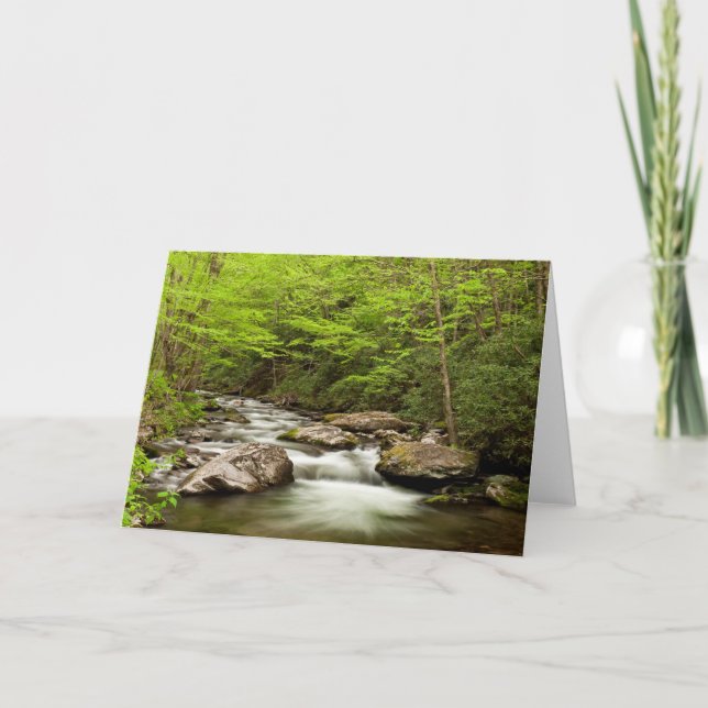 Carte Flux De Fourche Droite À Travers La Forêt (Devant)