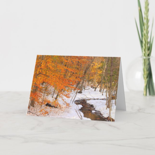 Carte Flux de la forêt du Mont Monadnock et feuillage de (Devant)