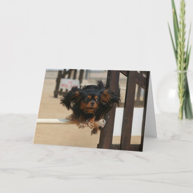 Carte Flying Maia black & Tan Cavalier King Charles (Devant)