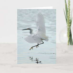 Carte Flying Snowy Egret