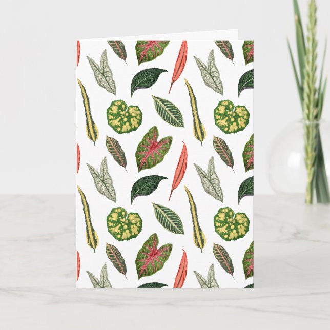 Carte Folded Greeting Card (Devant)