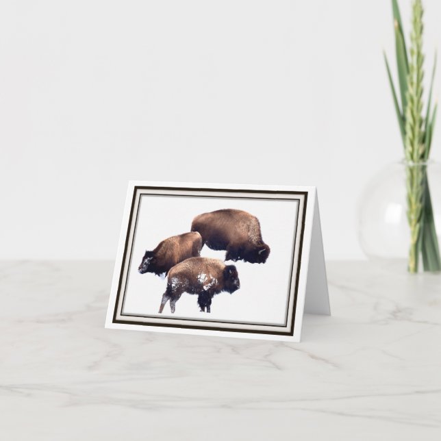 Carte Folding Greeting Card - Bison in Winter (Devant)