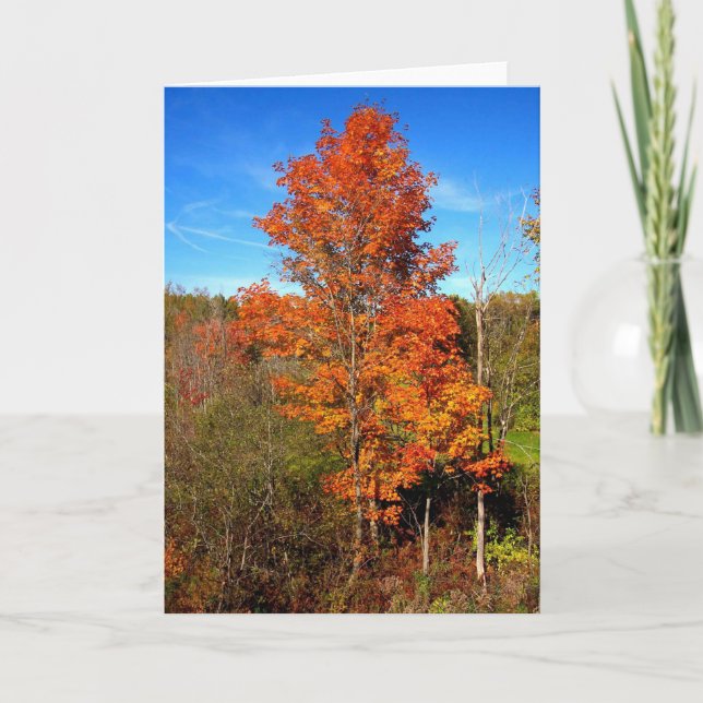 Carte Folithe d'automne (Devant)