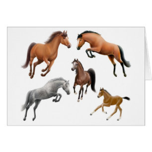 Carte folle de cheval