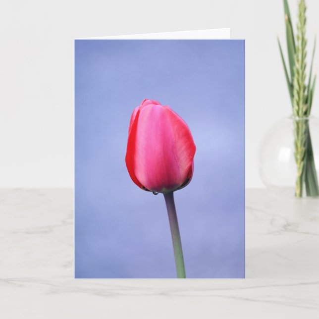 Carte Fond uni lavande avec tulipe rose élégante vierge (Devant)
