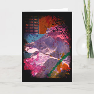 Carte Fontaine Cheval Kansas City Plaza